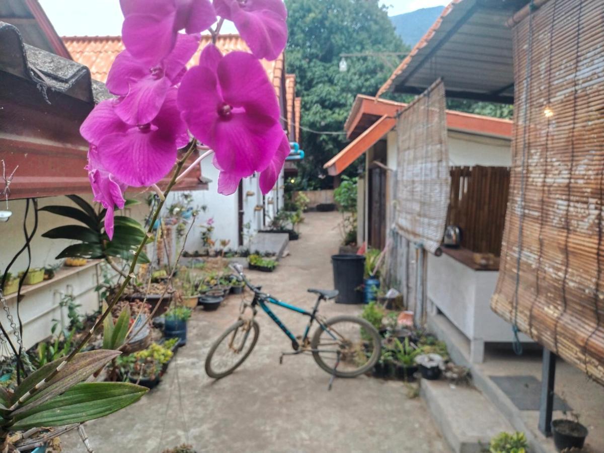 Pdv Guesthouse Ban Ngoy-Nua Exterior foto